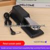 Premium Durable Electronic Organ Sustain Pedal for Digital Pianos - Universal Keyboard Accessory