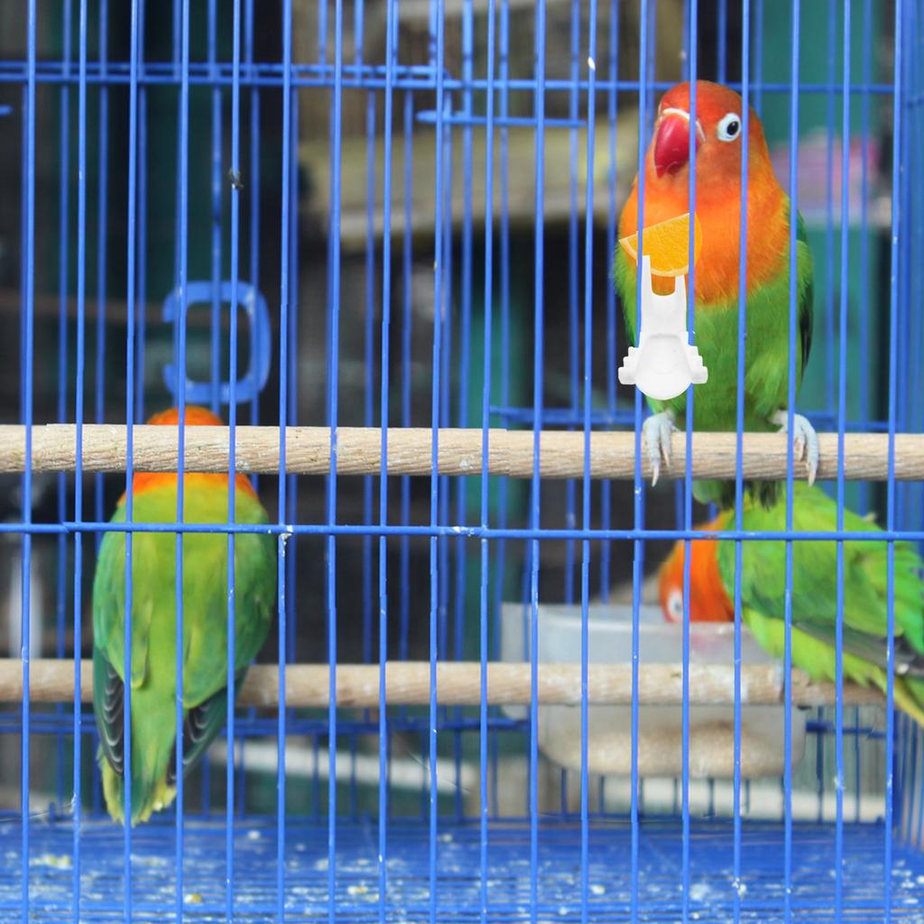 8Pcs Bird Fruit Fork Feeder Plastic Parrot Food Holder Secure Snack Clip for Cage Easy Cleaning Versatile Vegetable Feeding Tool