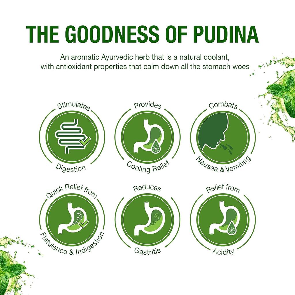 Dabur Pudin Hara Active Herbal Liquid 30 Ml Pack of 4 Mint Inspired Ayurvedic Oral Drops for Digestive Comfort Formula