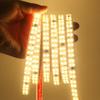 Double Row 2835 LED Strip Light 220V Flexible LED Tape with Adhesive High Brightness 240LEDs Waterproof LED Ribbon Decoration