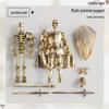 Articulated Skeleton Soldier Model: Bone Joint Toy & Prank Ornament