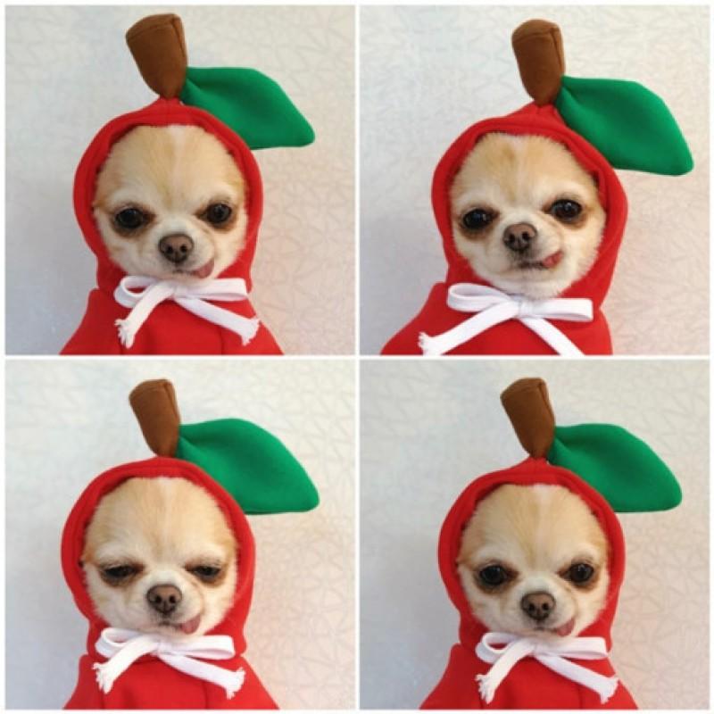 Pet Hoodie Small Medium Dogs Cats Winter Warm Fleece Dog Sweater Cat Clothing Cute Cheese Print