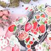 45 Pcs Strawberry Cheese Bullet Journal Decorative Stationery Stickers Scrapbooking
