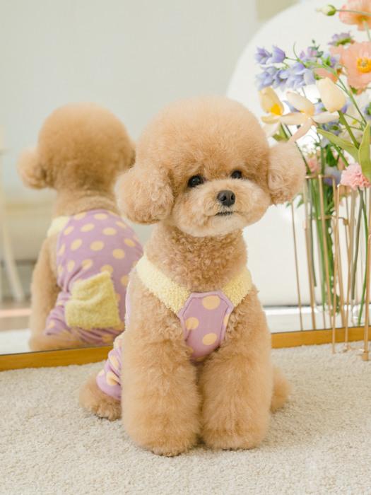 SALTYHEARTY Pogle Dot All-in-One