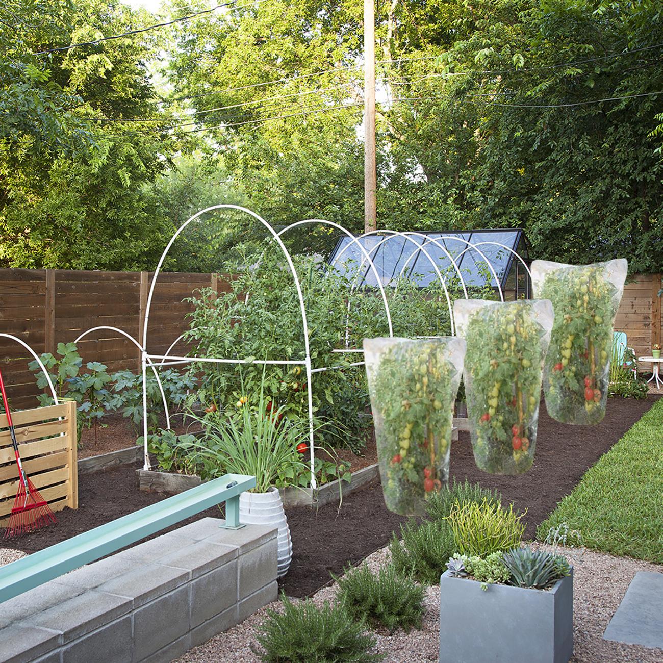 

6 шт. сетка для защиты от насекомых, фрукты, цветы, уход за растениями, сетка для теплицы и сада, сетка против птиц