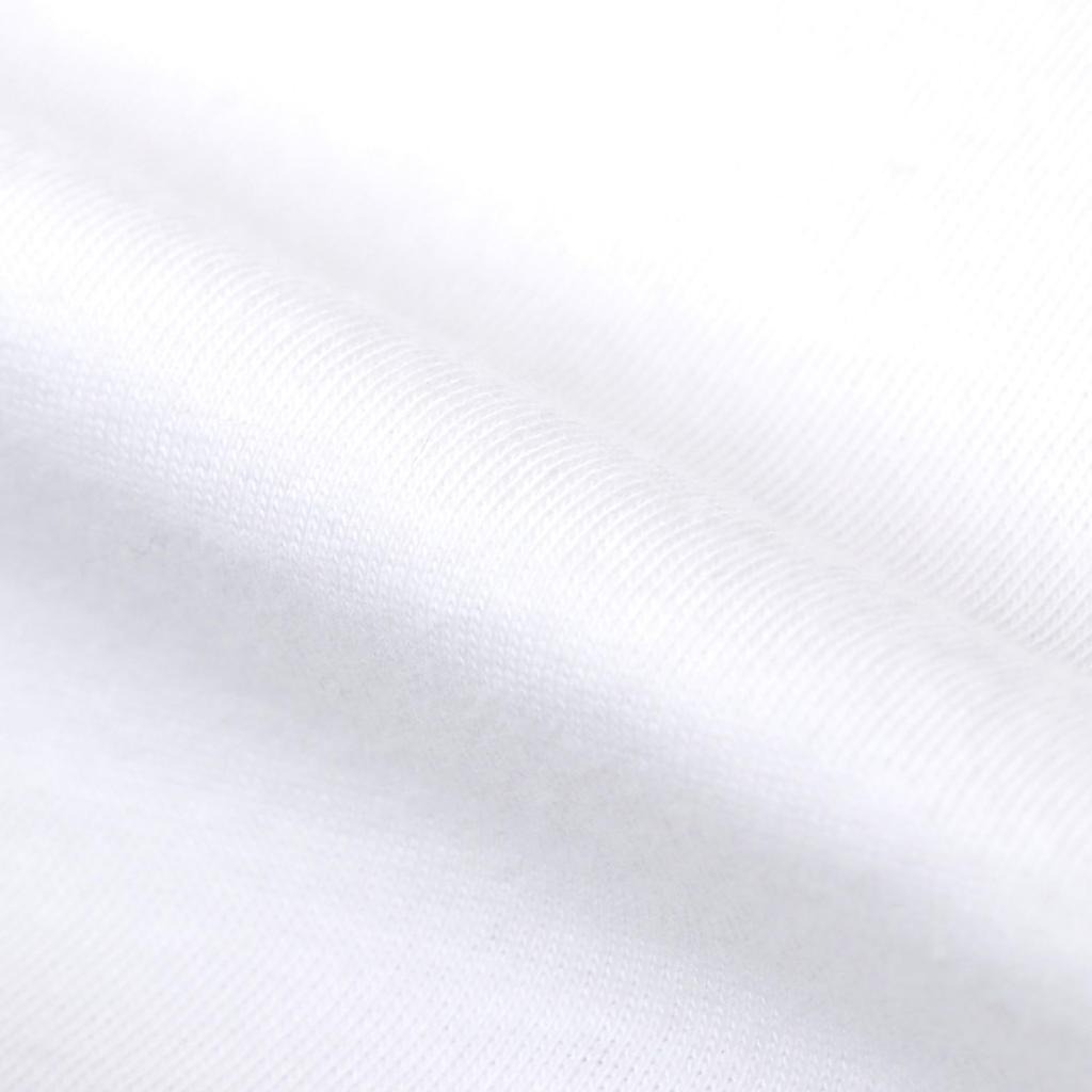 Champion short classic Cotton logo short sleeve 5L T-shirt, sleeve, 100% cotton, USA, one-point embroidery, T-shirt, basic, C3-P300Z/C3-X352L, men's,