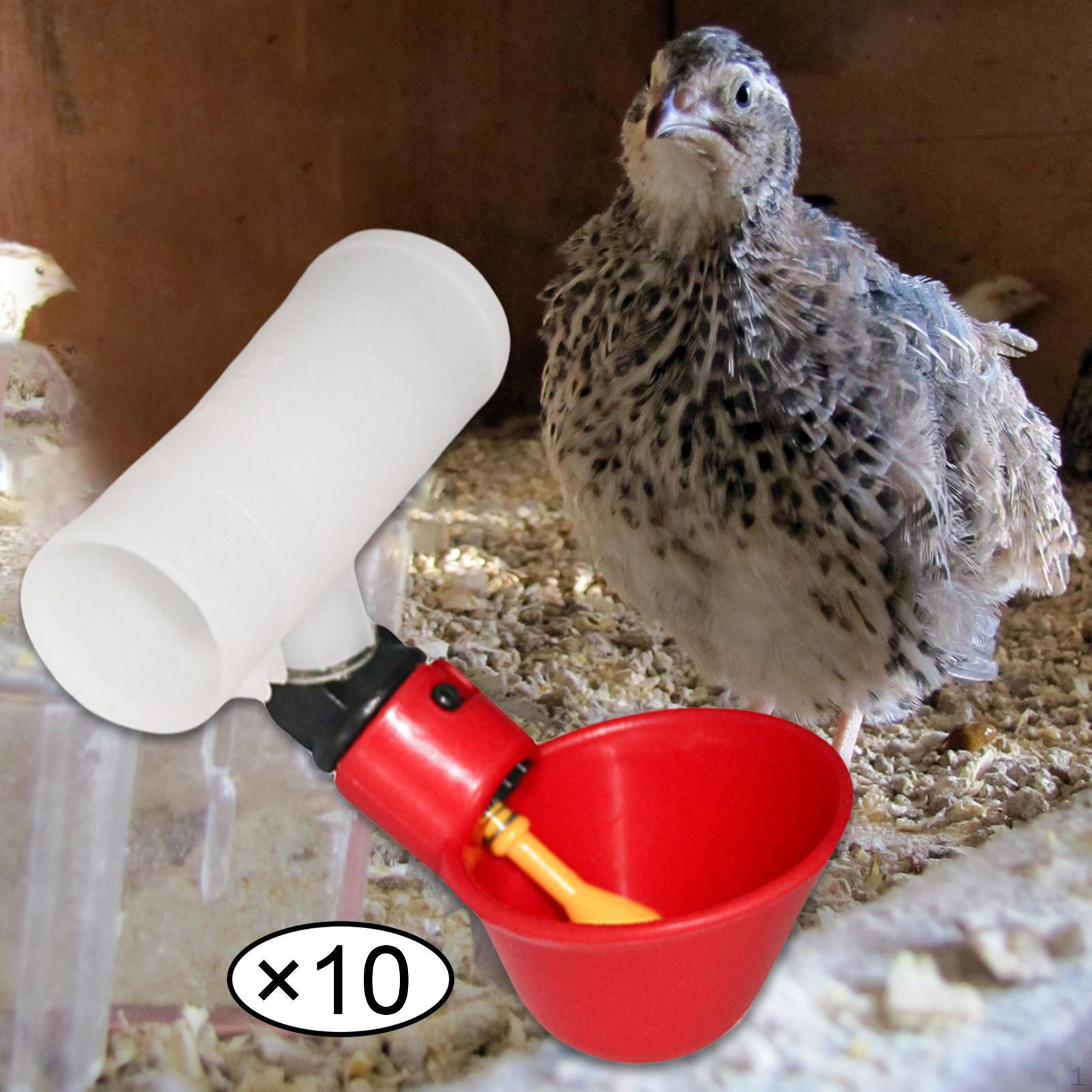 

2x5 шт. Чашки-поилки для птицы для курицы, автоматическая поилка 6,6x10 см, многоцветные,