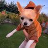 Dog Clothes Vest Jacket Sweatshirt With Hood Insulated Size S
