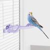 Waterproofed Metal Parrots Perches Stand For Small Birds Cockatiel Lovebirds Cage Accessory Easy Install Durable