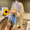 Polo Collar Thin Chiffon Shirt Single Breasted Cardigan Women's Loose Sun Protection Clothing Solid Color Simple Casual Summer