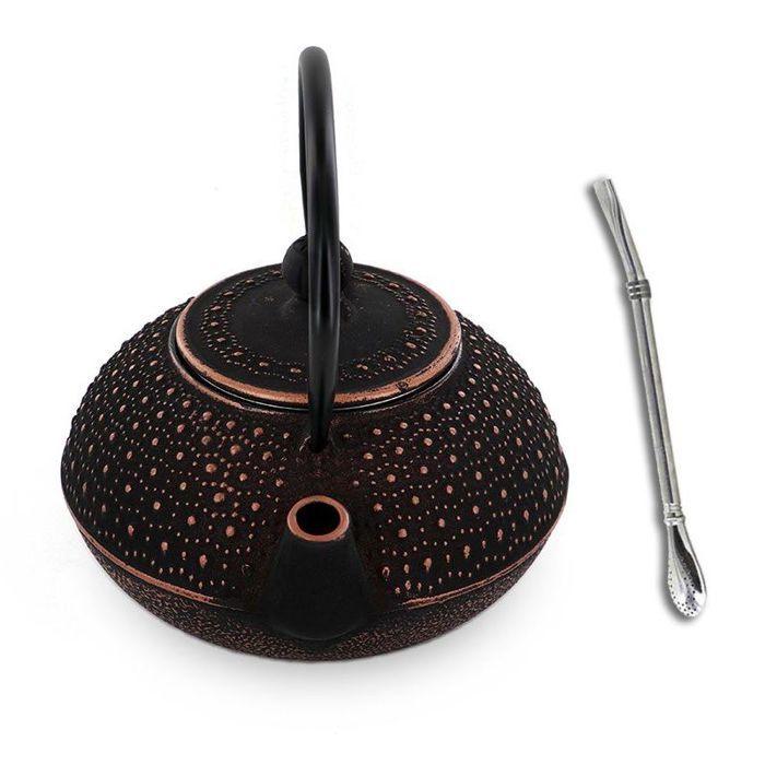 Théière en fonte chinoise Sui 0,8 L + paille inox avec filtre
