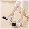 Square Head Spell One-word Buckle Belt Thick Heel Single Shoes Women's Fashion Retro Mary Jane High Heels Women's Spring and Autumn New Models