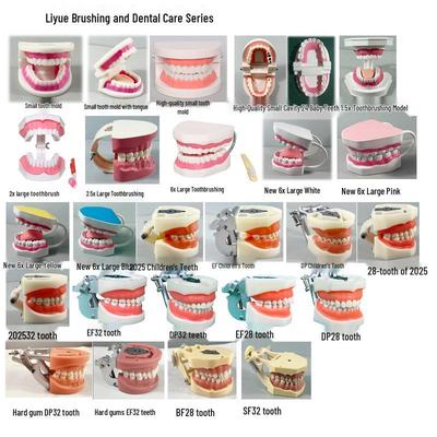 Dental Implant Model with Transparent Detachable Teeth and Soft Gums