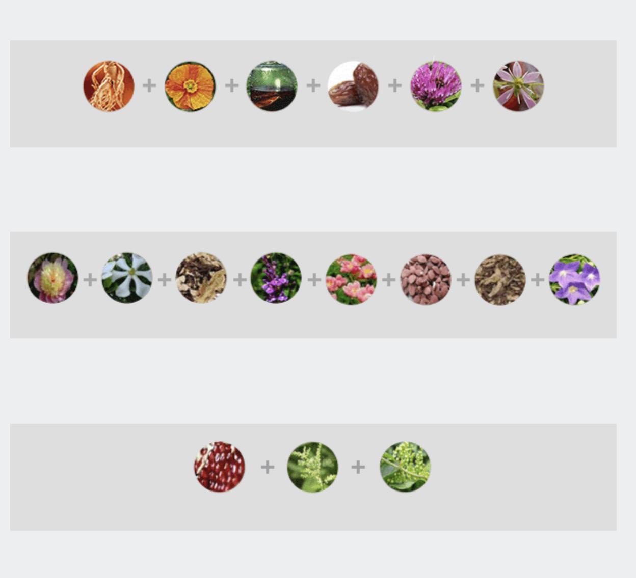 The History Of Whoo Crema Rivitalizzante Intensiva 45pz Jinyul Crema Newsit Ver - Foto 4