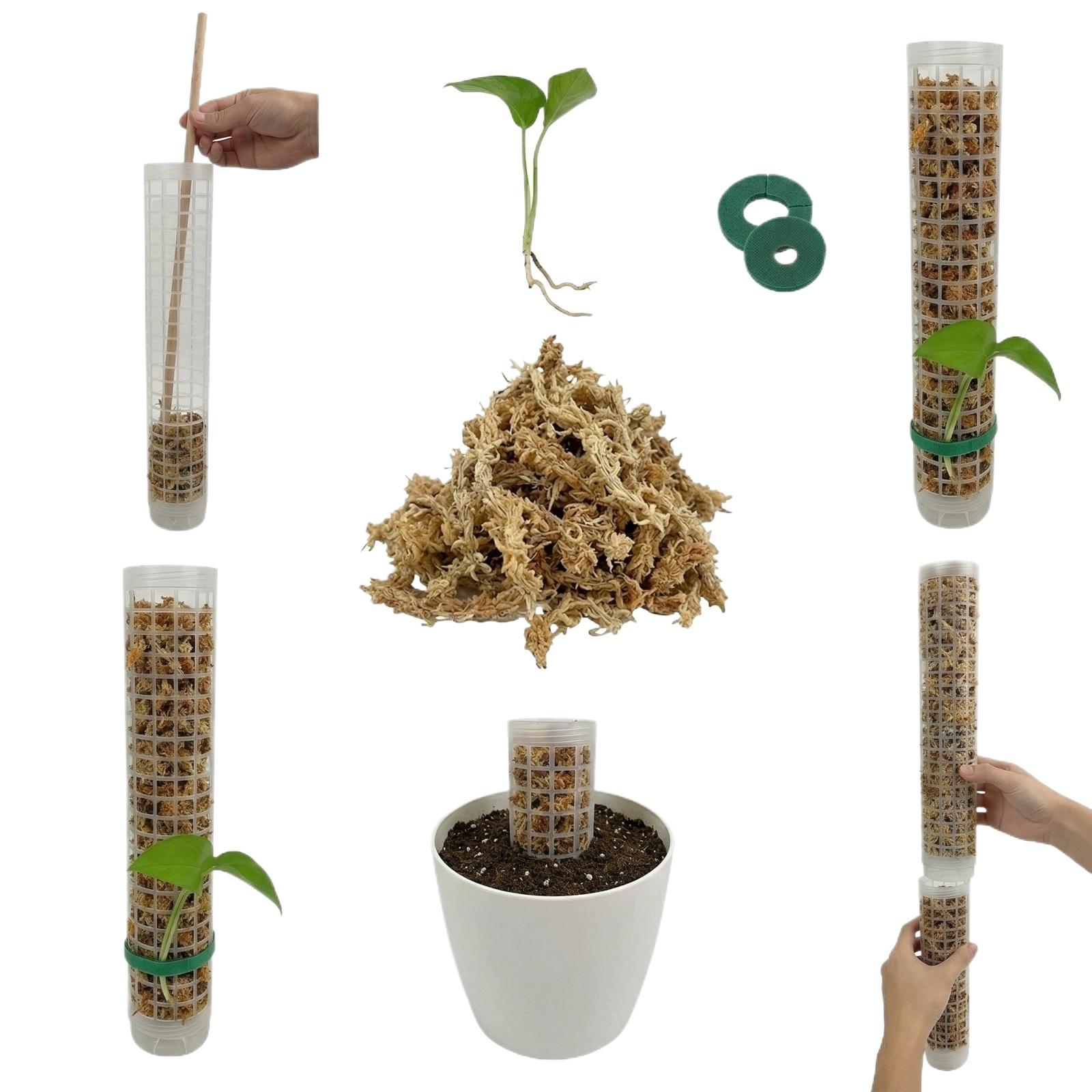 

2 Pack Automatic Plant Watering Moss Sticks Self-Watering Support Rods for Plant Growth and Root Development in Soil or Pots білий