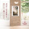 Poster: Ito Jakuchu's "Old Pine Tree and White Phoenix" A3 Size [Made in Japan] [Interior Wallpaper] Painting Art Wallpaper Poster