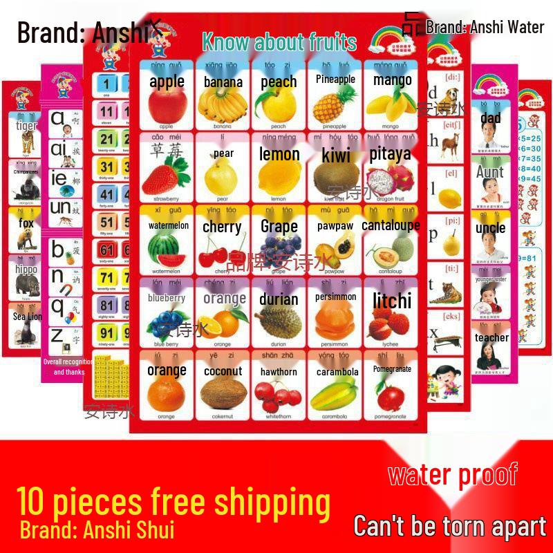 Waterproof Baby Pinyin & Character Recognition Wall Chart for Early Education