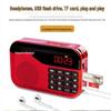 Newman Portable Multi-Function Radio Player