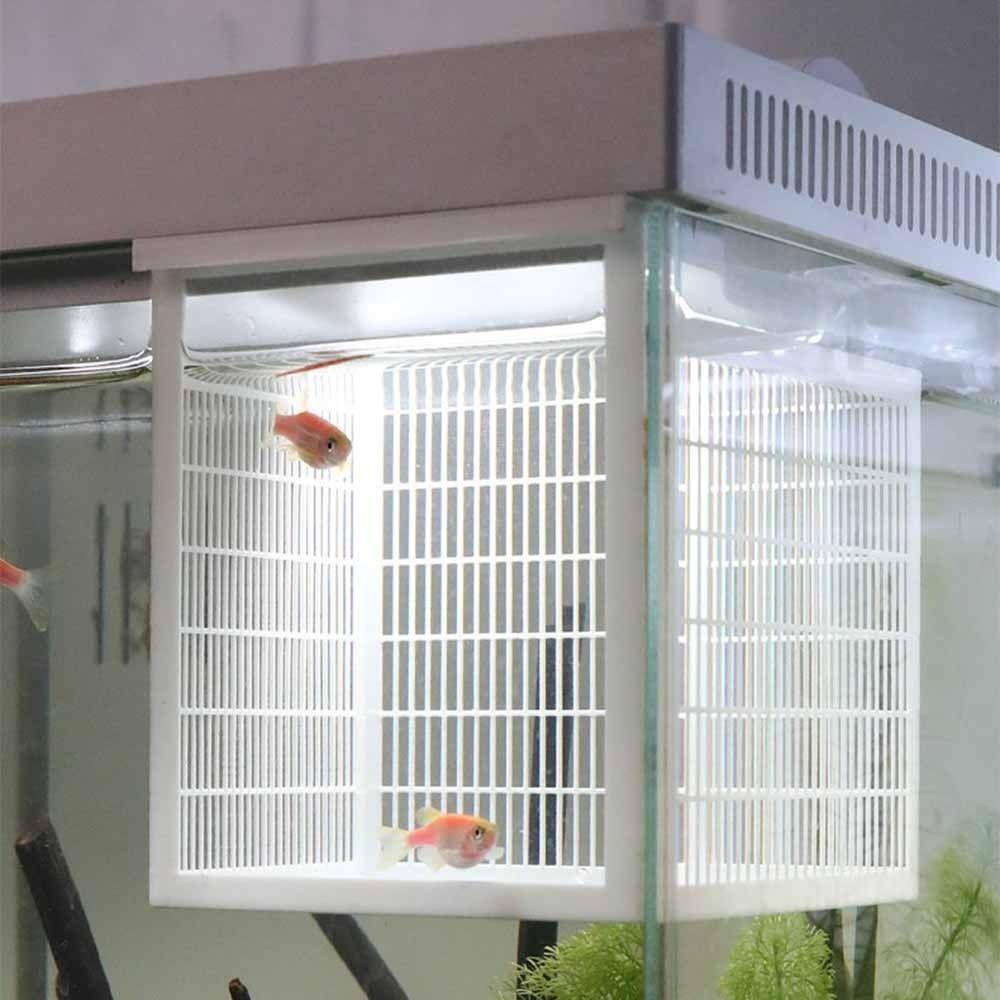 Hangable Aquarium Breeder Box Durable Fish Breeding Box Guppy Breeding Box  Shrimp Breeding