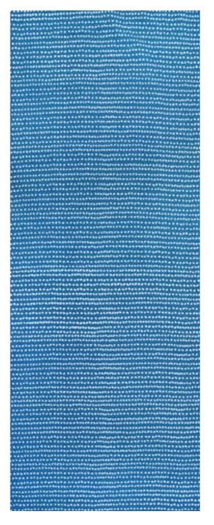 Todaya Shoten Tenugui Hand Rice Grain Pattern 624 Niwaen-zome (Japanese Towel)