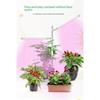 ABUL-LED Grow Light Full Spectrum Plant Growth Light Height Adjustable Dimmable Growing Lamp With Timer For Indoor Plants
