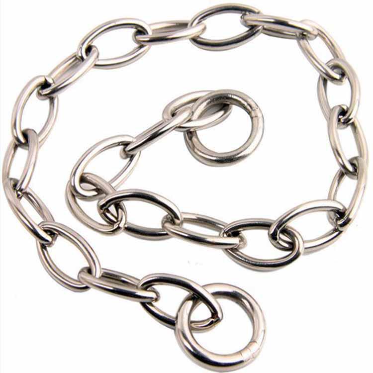 Stainless Steel P-Chain Dog Training Collar and Leash Set