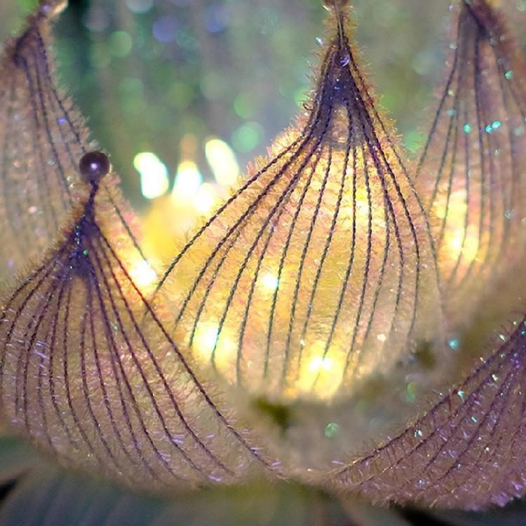 Chinese Festival DIY Decoration Set Traditional Flower Lamp Craft Supplies With Sticks For Home Parties