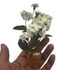 Miniature Rose Potted Plant 1Pc 112 Scale Flowerpot Bonsai for Dollhouse Home Decor Lifelike Desk Ornament Photography Prop
