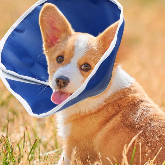 Pet Cone Collar Friendly to Skin Waterproof Adjustable Wide Application Easy-wearing Stop Licking Non-woven Fabric Dog Cat Wound Healing Protective