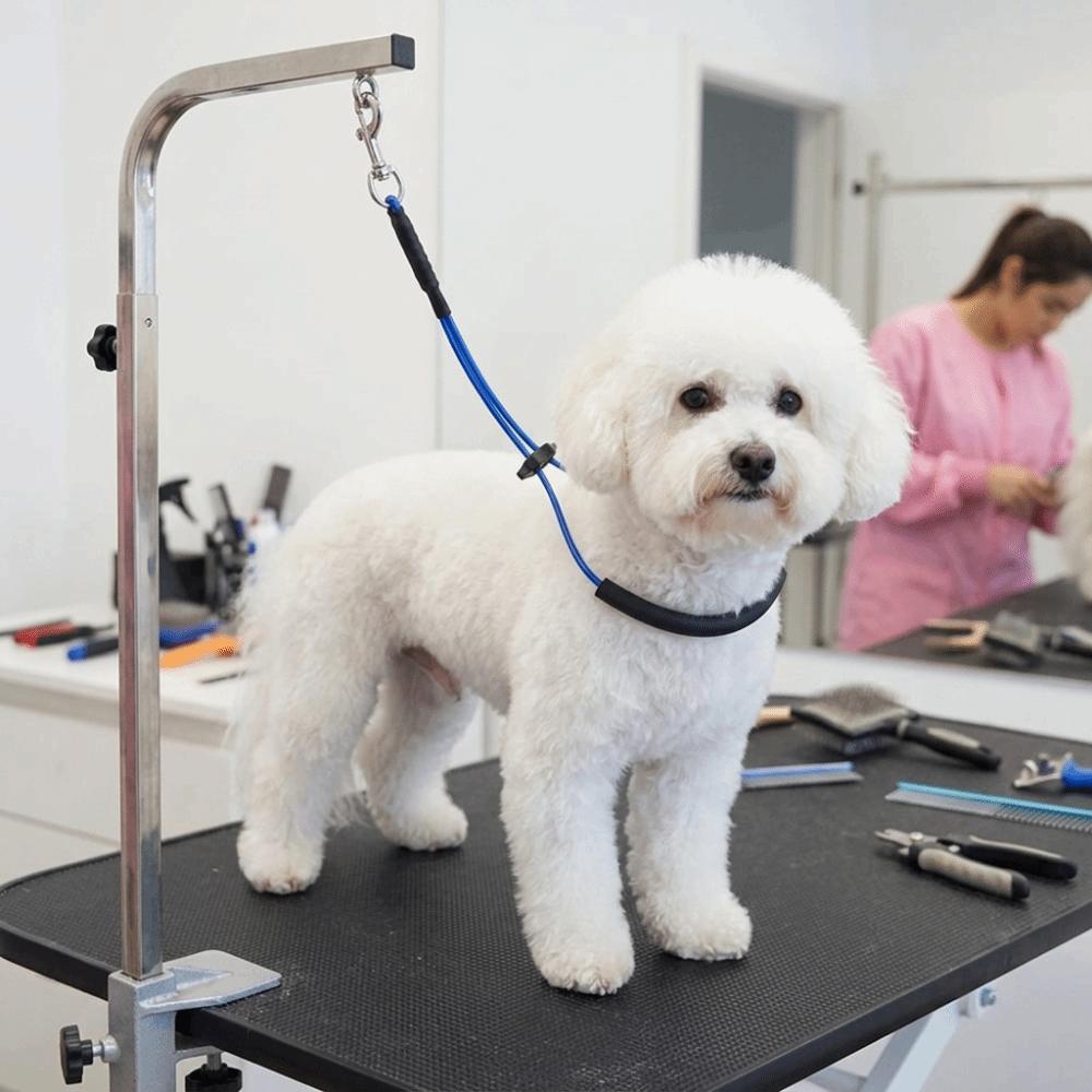 Adjustable Length Grooming Restraint Single Buckle Steel Wire Loop Table Fixing