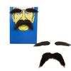 Mustaches and Eyebrows Cosplay Costume Accessories for Halloween Christmas, Self Adhesive Eyebrows and Beard Mustaches