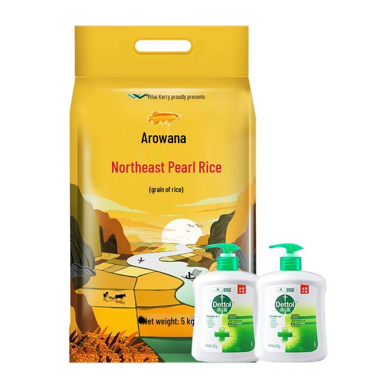 Dettol Classic Pine Hand Soap (2-Pack) & Arowana Rice Bundle
