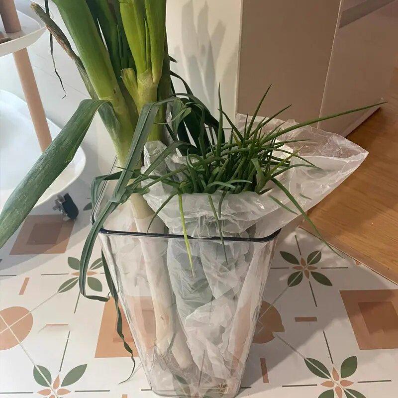 Large Capacity Transparent Kitchen Organizer for Scallions, Yams, Ginger, and Garlic