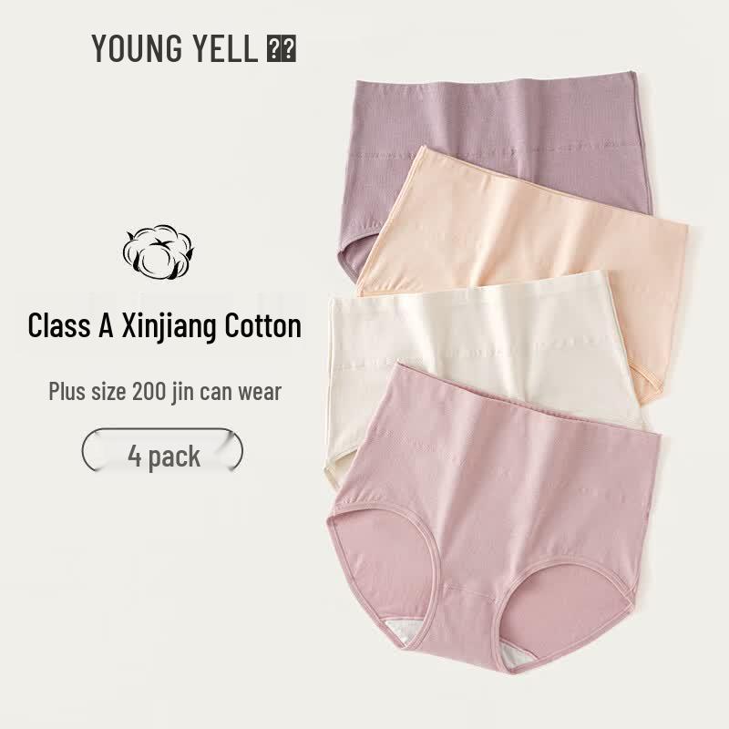 YOUNGYELL Women's High-Waist Cotton Antibacterial Tummy Control Underwear 4-Pack