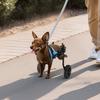 Dog Wheelchair for Back Legs, Adjustable 2 Wheels Pet Wheelchair, Lightweight Dog Cart with Shock-Absorbing Wheels, Mobility Support Wheel Chair for