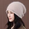 Autumn and Winter Wool Hat Women's New Fashion Rabbit Fur Beret Thermal Ear Protector Knitted Hat