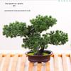 Artificial Bonsai Pine Tree for Indoor Decoration - Small Green Plant Ornament for Home or Living Room