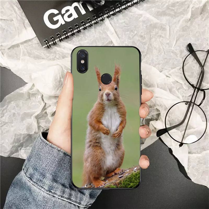YNDFCNB Cute Animal Squirrel Customer Phone Case for Xiaomi Redmi 5 5Plus 6 6A 4X 7 7A 8 8A 9 Note 5 5A 6 7 8 8Pro 8T 9
