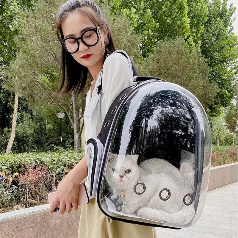 Geantă de umăr pentru ieșire pentru animale de companie, 1 bucată, pisică, câine, umăr, portabil, respirabil, pliabil, transparent, pentru animale de companie de mare capacitate
