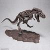 Imaginary Skeleton Tyrannosaurus Rex Assembly Plastic Model Kit 1/32