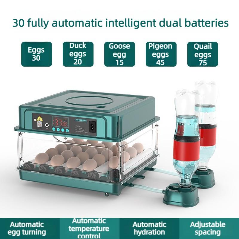 Intelligent Egg Incubator Automatic Egg Flipping Hydration Temperature Control Goose/duck/quail/pigeon Eggs Breeding Incubators