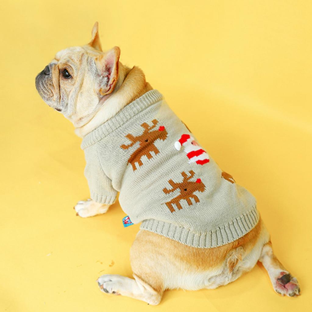 burberry pet clothes