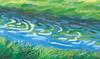 Water Sings Book by Mado (Picture Michio)