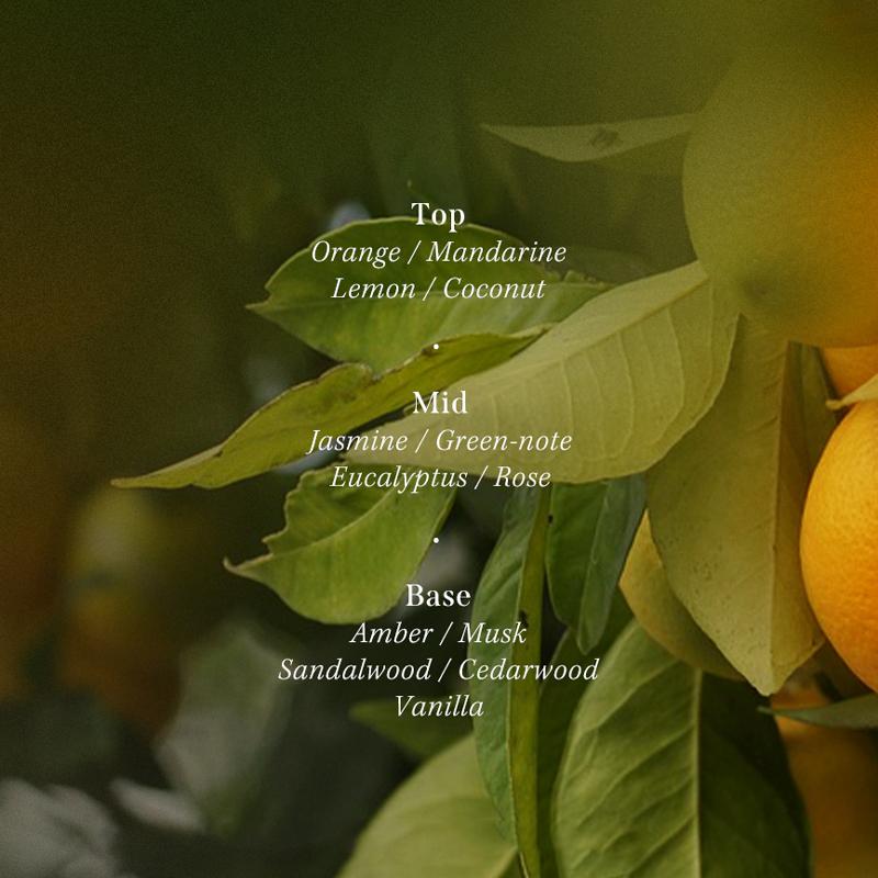 [Lador] Perfumed Hair Treatment SET 380ml