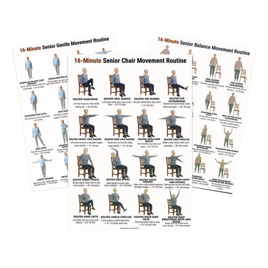 3Pcs Tai Chi Workout Posters Seated Exercise Chart with 16 Gentle Chair Yoga Movements Tai Chi Instructions for Beginners Seniors