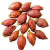 Gardenia Rote Frucht Tee Kräuter loser Tee 17,6oz Großpackung