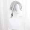 LAOBAO Cosplay Wig - Embalmer Aesop Carl Gut Silver Hair Ponytail Wig - Heat Resistant - Costume Accessory for Parties, Halloween, Festivals, Events,