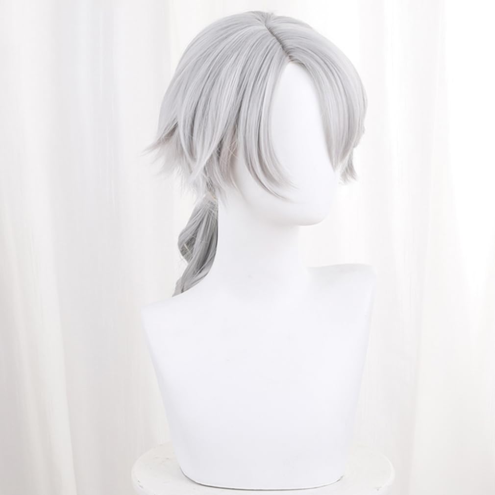 LAOBAO Cosplay Wig - Embalmer Aesop Carl Gut Silver Hair Ponytail Wig - Heat Resistant - Costume Accessory for Parties, Halloween, Festivals, Events,
