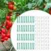40pcs Tomato Support Hooks With String Garden Hooks To Support Climbing Plants Stem Fixing Holder With 40 Clips For Cucumber