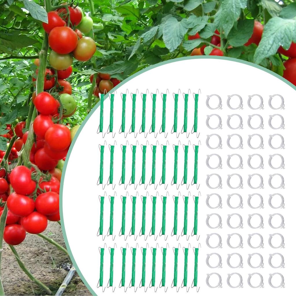 40pcs Tomato Support Hooks With String Garden Hooks To Support Climbing Plants Stem Fixing Holder With 40 Clips For Cucumber